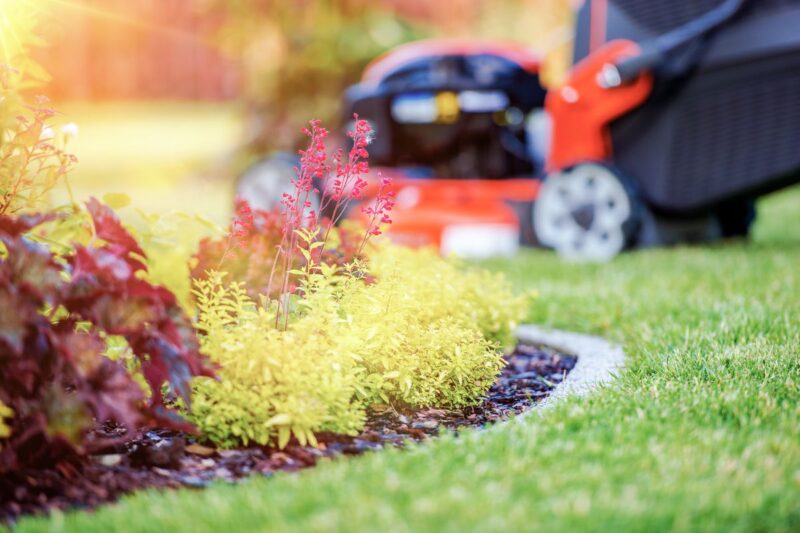 10 Lawn Care And Maintenance Tips And Basics For New Homeowners