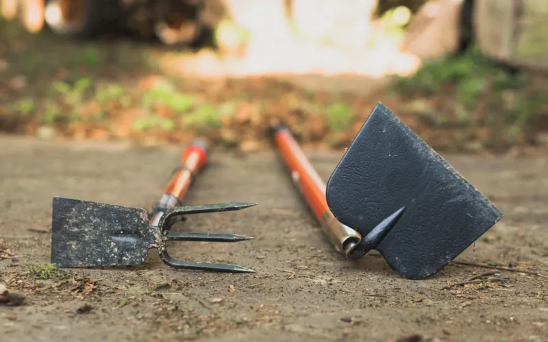 Must-Have Tools for Gardeners